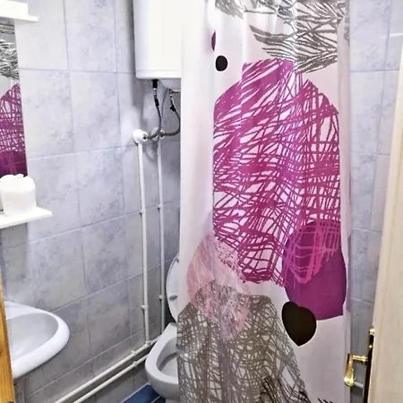 Studio Isakovic Apartment Soko Banja