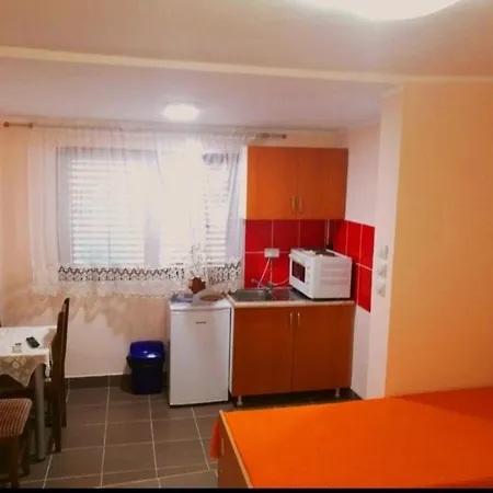 Apartment Studio Isakovic